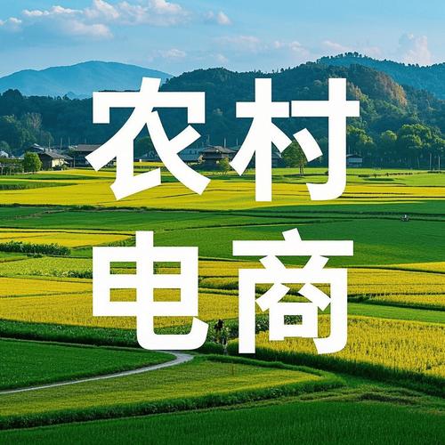 未来我国农村电子商务如何发展